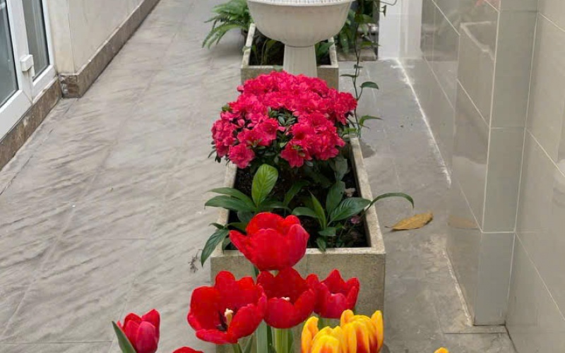 Bán Biệt thự song lập KDC Cityland Riverside, Nguyễn Thị Thập, quận 7 